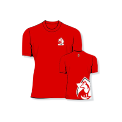 FIRE T-SHIRT ADULT