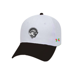 AIR BASEBALL HAT ADULT